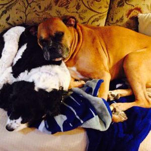 Meet your Posher, Jerry